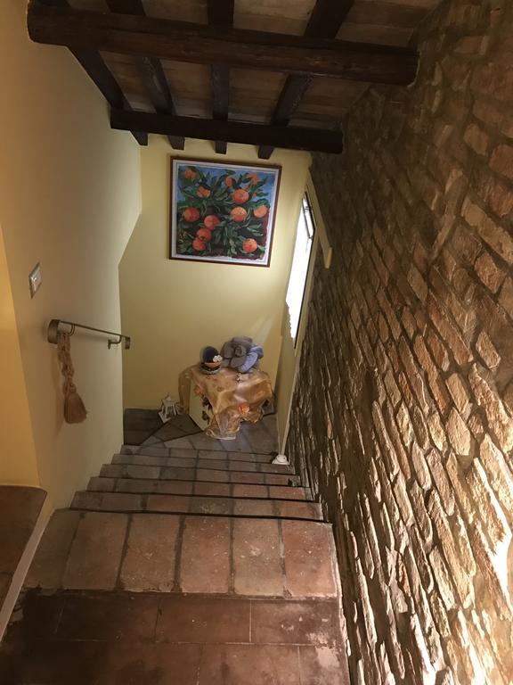 B&B Aurora Domus D'A-Mare Pesaro Esterno foto